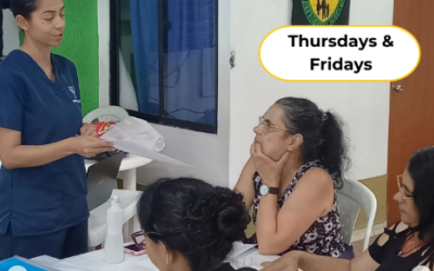 Proyecto Florecer - Talleres de Bienestar Emocional